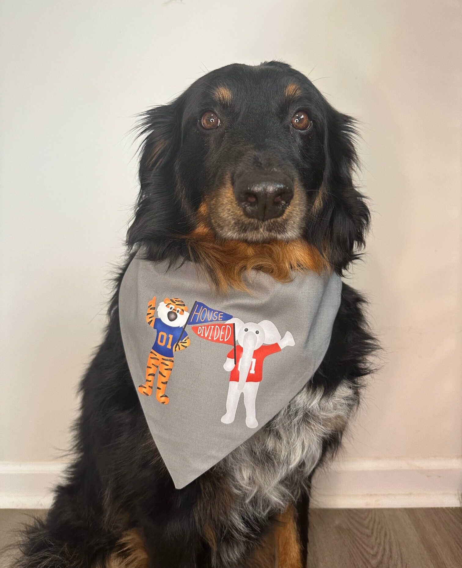 Patriots 2024 dog bandana